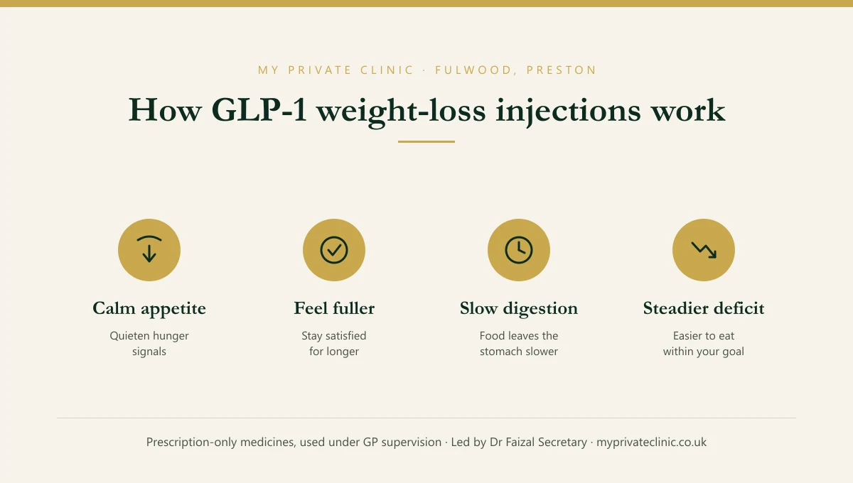 How GLP-1 weight-loss injections work: they calm appetite, increase fullness, slow digestion and make a calorie deficit easier to maintain.